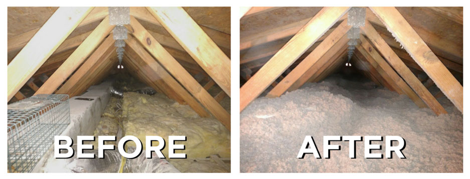 before and after of attic with moisture issues - get moisture control services in your florida home from arrow services