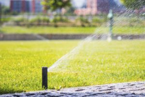 Sprinkler watering lawn