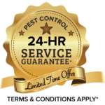 24 hr service guarantee