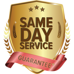 same day service guarantee symbol