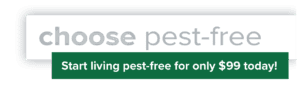 choose-pest-free-99-01