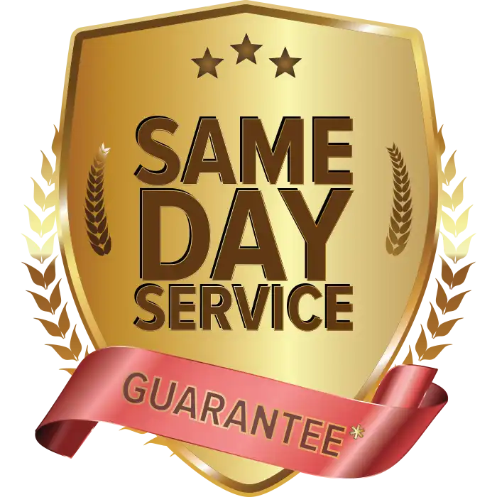 same day service guarantee logo