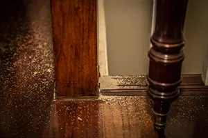 Saw dust on the floor of a house created by termites