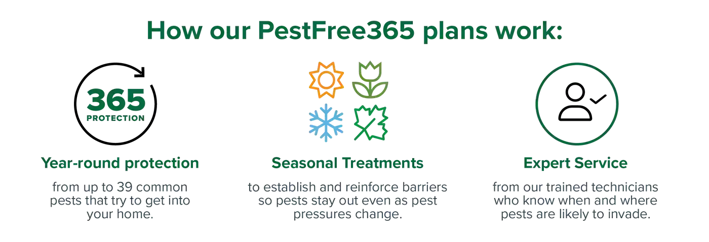 How our PestFree365 plans work graphic