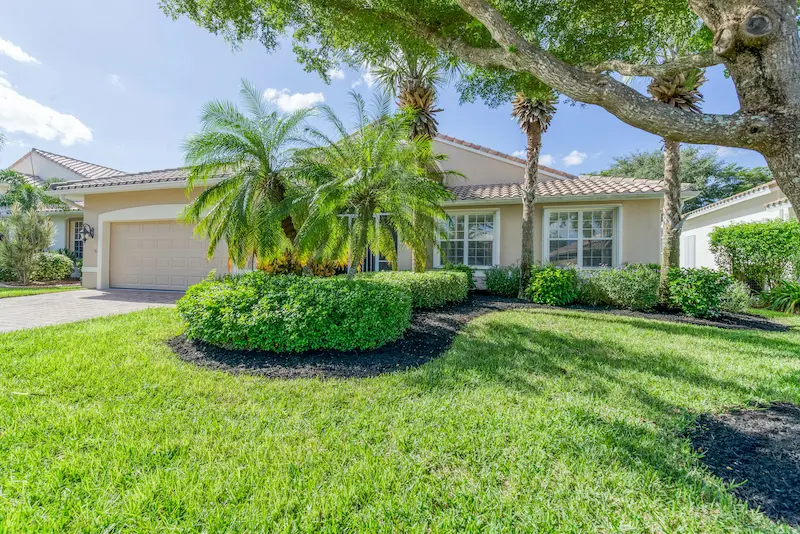 Healthy Florida lawn with no signs of lawn pests.