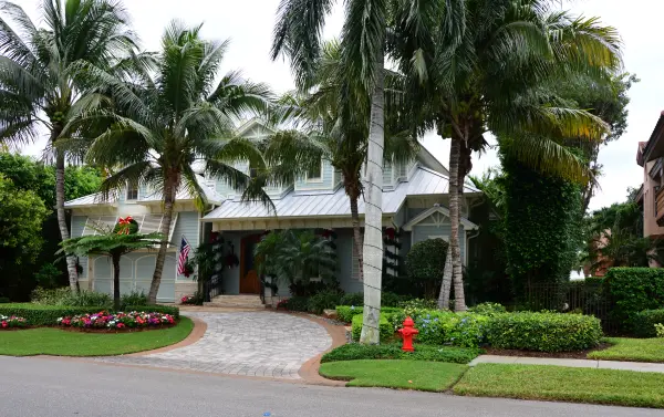 Tree and Shrub Care in Florida in your area