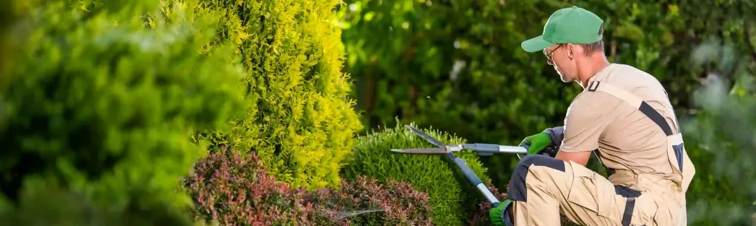 Lawn technician maintaining shrubs in a front lawn - Arrow Environmental Services in FL