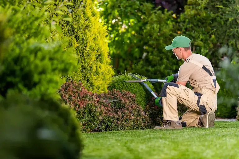 Lawn technician maintaining shrubs in a front lawn - Arrow Environmental Services in FL