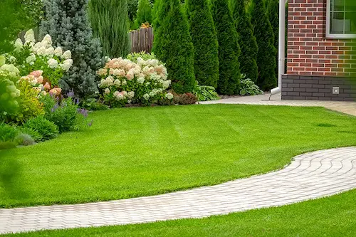 How to Maintain Your New Home’s Lawn in your area