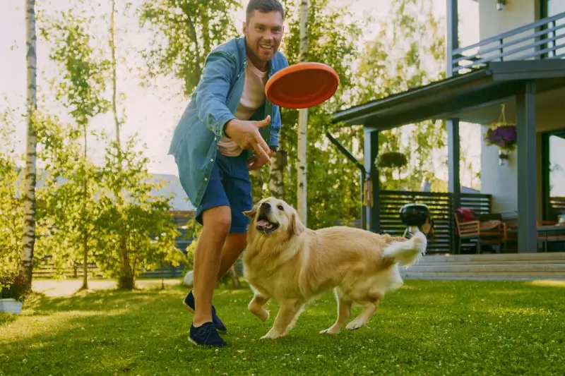 Man and dog playing catch with a frisbee in the backyard