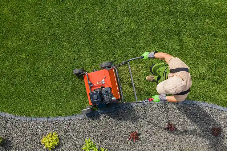 Should You Hire a Professional for Lawn Aeration? in your area