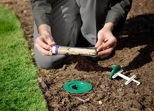 termite-bait-station-inspection