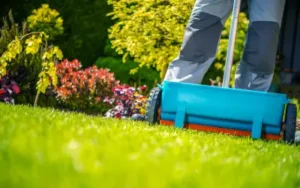 man in Ocala Florida fertilizing his lawn in the spring