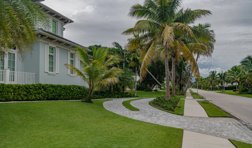 A luxury Florida home with a manicured lawn and tropical palm trees maintained by Arrow Environmental Services.