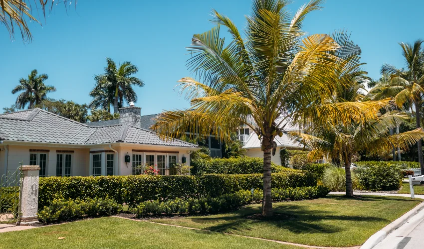 A well-maintained Florida residence featuring healthy palm trees and a lush lawn serviced by Arrow Environmental Services.
