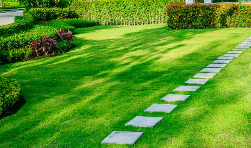A lush, pest-free Florida lawn with stepping stones and manicured hedges maintained by Arrow Environmental Services.