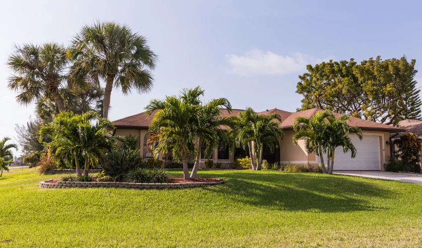 A sun-drenched Florida residence featuring a healthy green lawn and palm trees serviced by Arrow Environmental Services.
