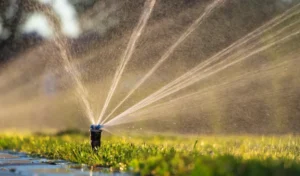 Active sprinkler system watering a Florida lawn, optimized by Arrow Environmental Services for maximum water efficiency.