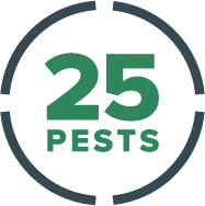 PestFree365 25 Pests graphic