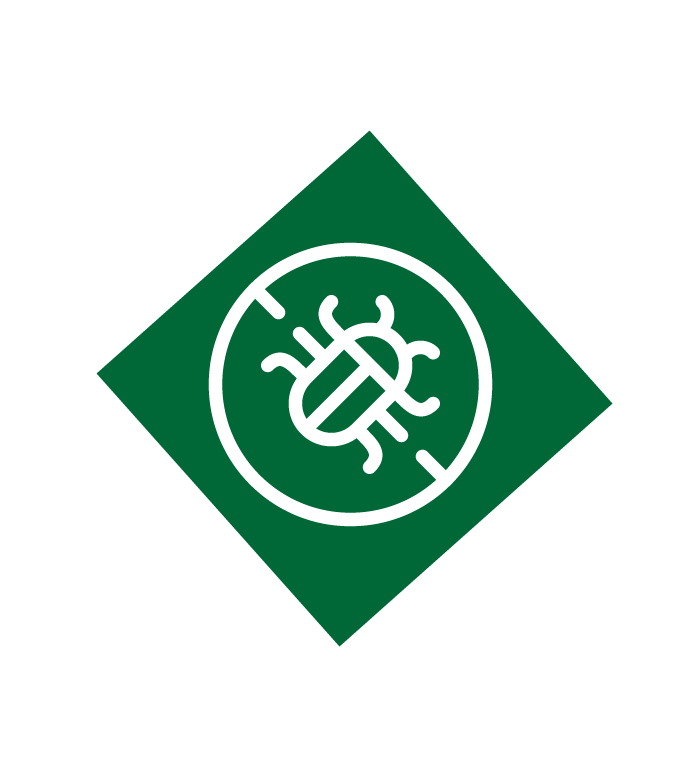 Bug icon.