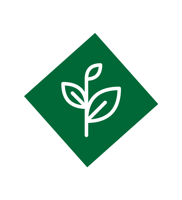 Sprout icon.
