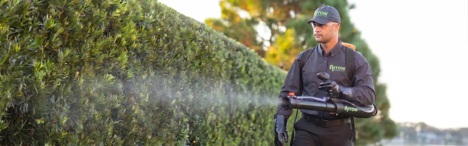 An Arrow Environmental Services technician using a power misting blower to treat a large Florida hedge for mosquitoes.