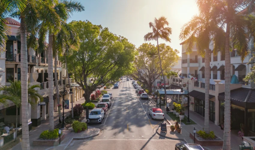 A sunny Florida commercial district with palm trees and local shops, protected by Arrow Environmental Services’ professional pest management.