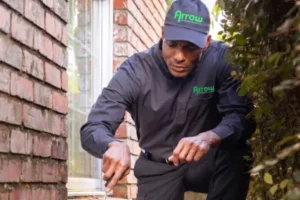 An Arrow Environmental Services technician inspecting a brick home’s foundation for pest entry points in the Florida area.