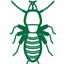 Termite icon.