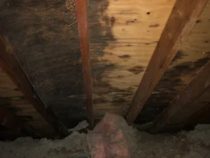 Moisture damage to floorboards in a home.