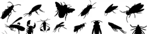 Background image of various pest silhouettes.