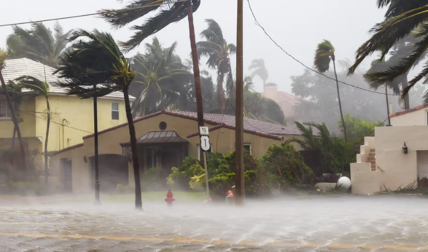 Heavy rain and strong winds flooding a Florida street, illustrating conditions that drive rats into residential structures.