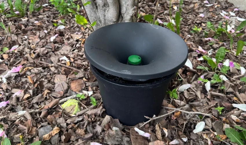Photo of a Florida residents backyard In2Care installation placed amongst a pile of leaves.